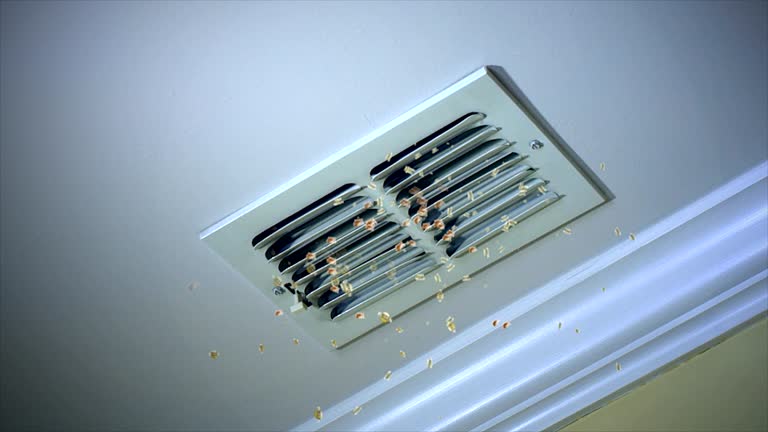 Best Air Duct Cleaning Near Me  in North Star, DE